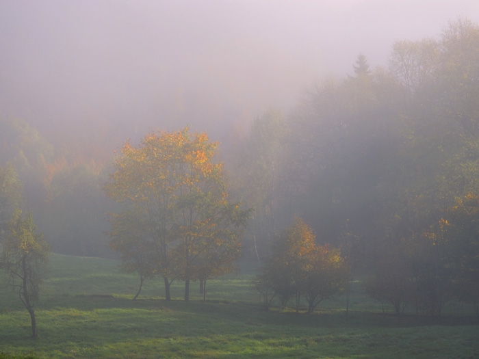 nature11